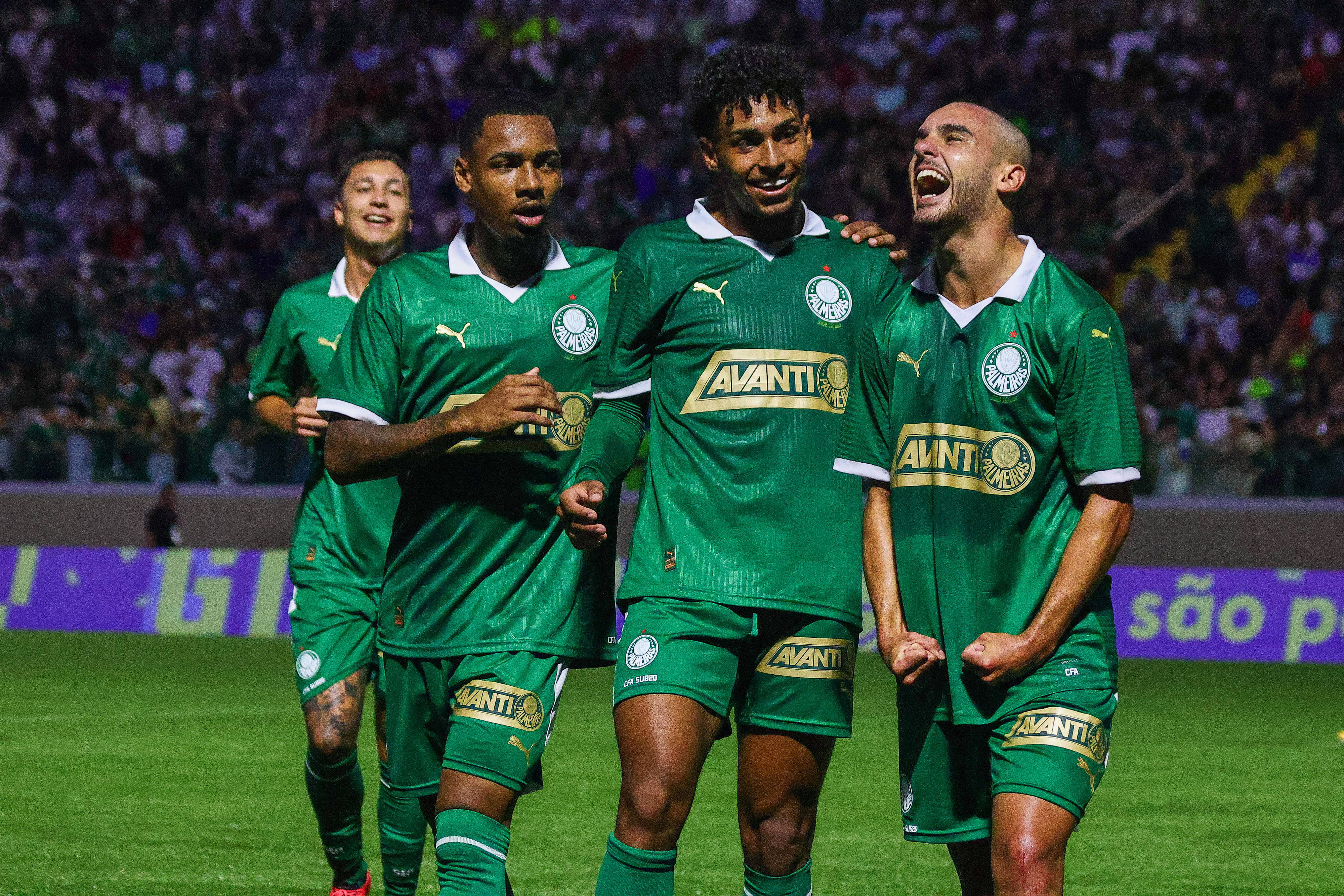 Palmeiras vs Botafogo prediction, odds & betting tips – 28/06/2025