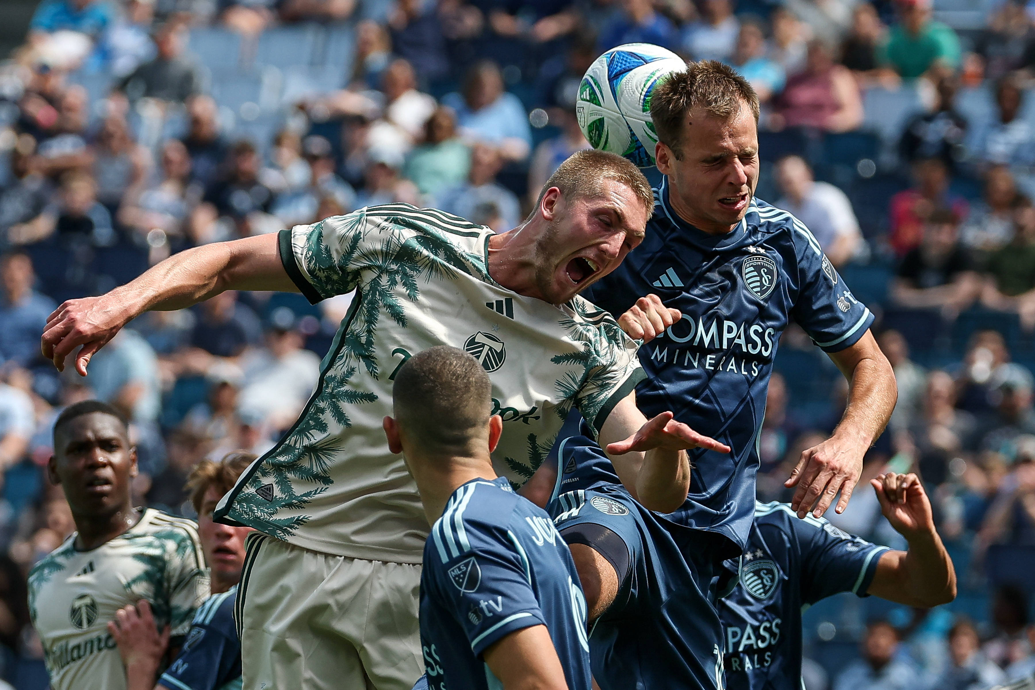 Toronto vs Portland Timbers prediction, odds & betting tips 29/06/2025