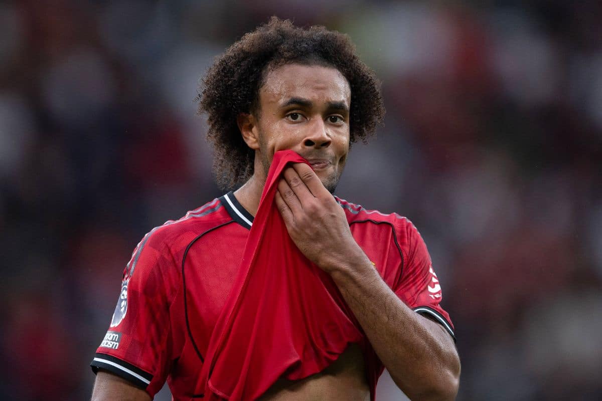 Manchester United transfer news: Roma's offer for Joshua Zirkzee revealed