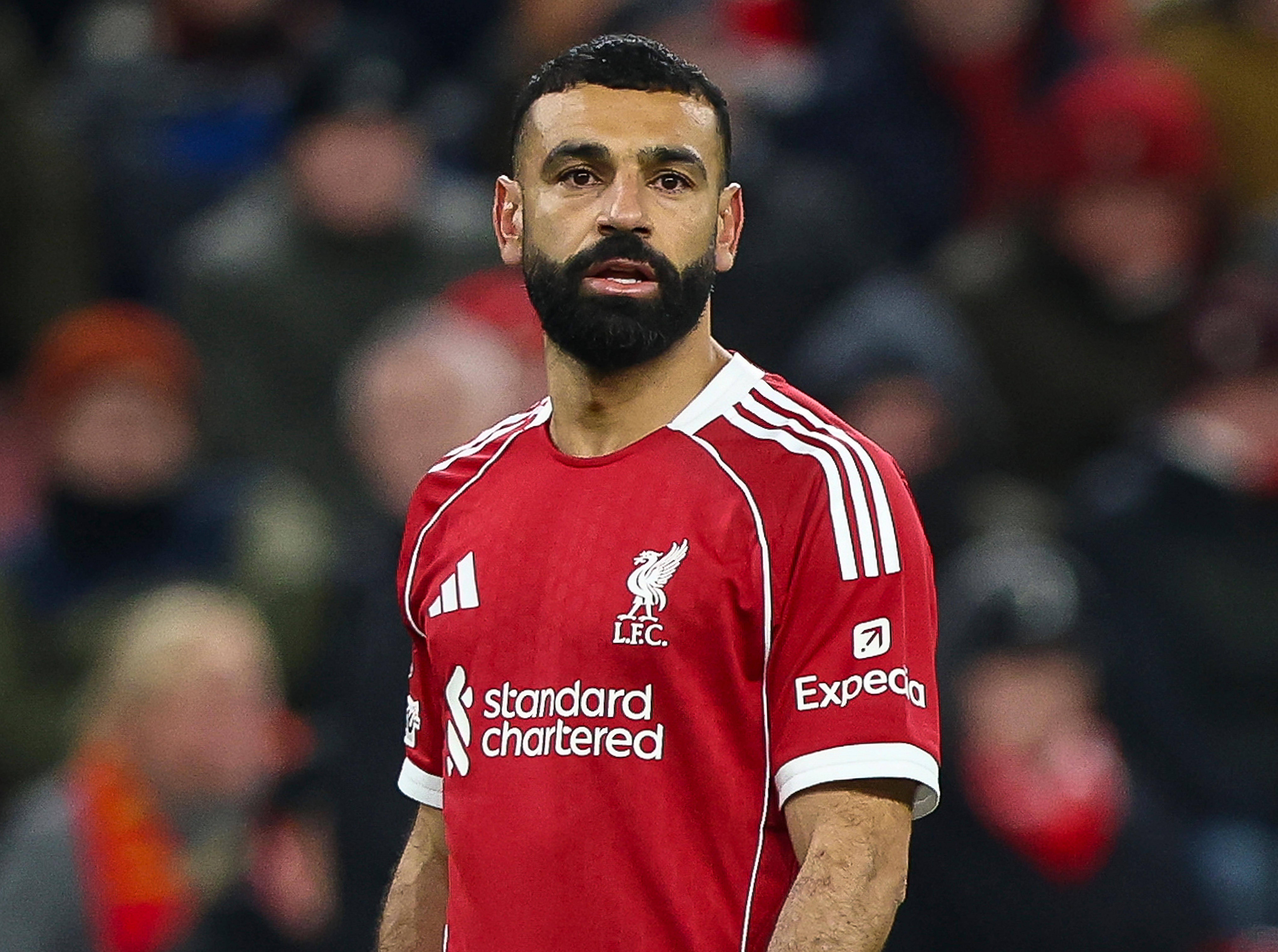 Liverpool vs Newcastle prediction, odds & betting tips 31/01/2026