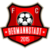 AFC Hermannstadt