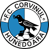 CS Corvinul Hunedoara