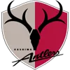 Kashima Antlers
