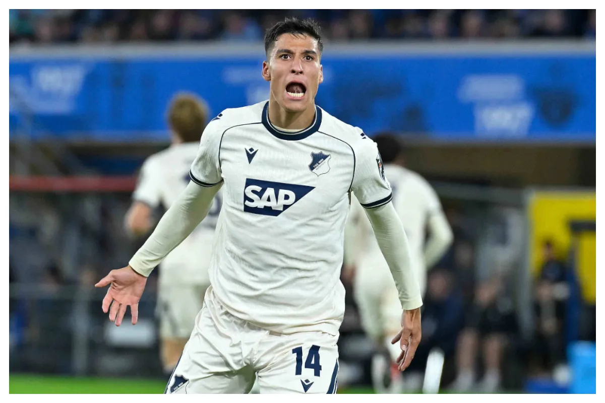 Hoffenheim vs Hamburger prediction, preview & betting tips &ndash; 10/10/2026