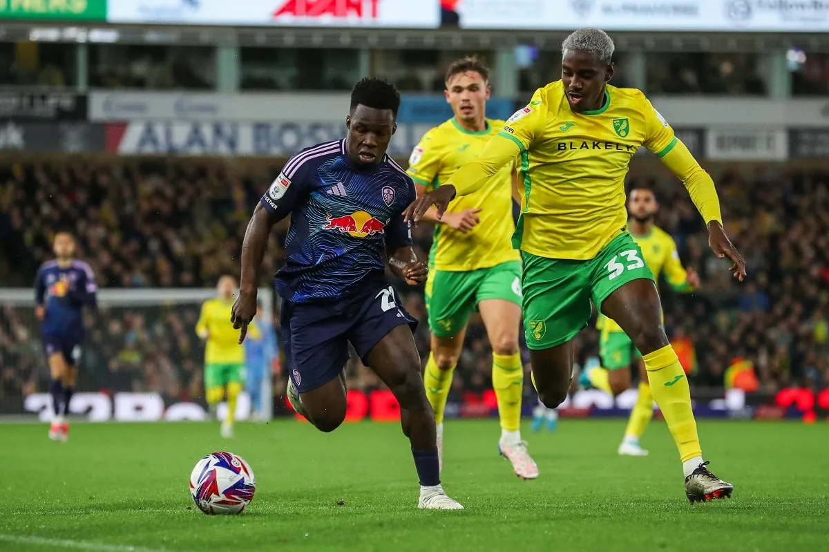 Leeds vs Norwich prediction, odds & betting tips &ndash; 22/01/2025
