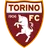 Logo Torino