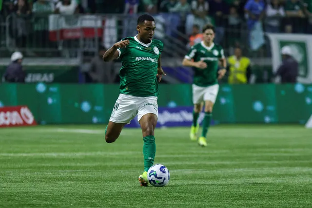 Allan Palmeiras