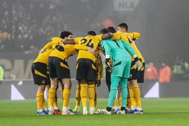 Wolves new signings