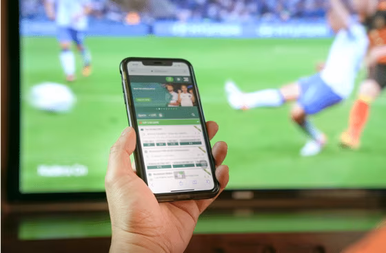 Lucky 15 betting guide