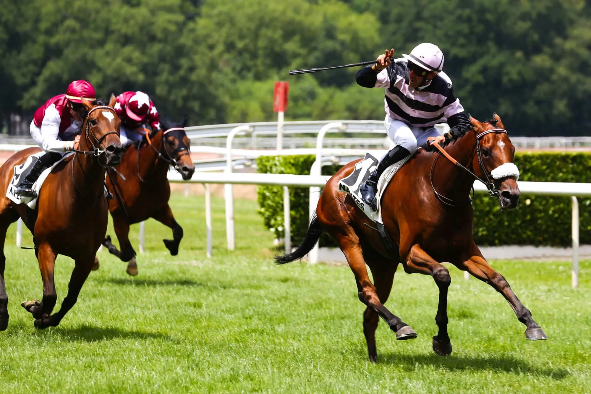 Goliath Betting