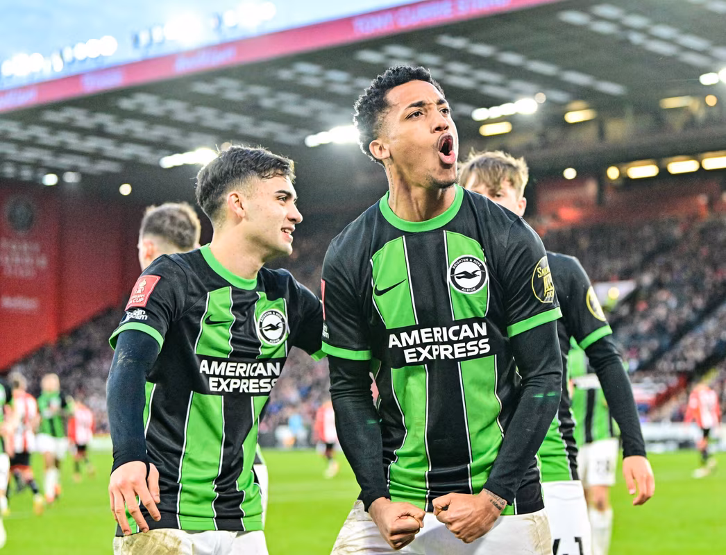 Joao Pedro player to watch