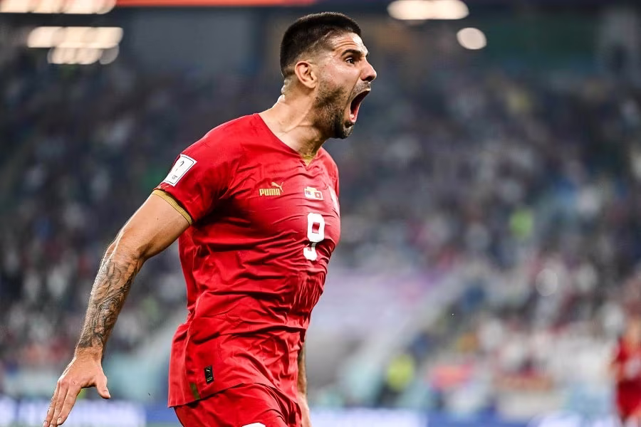 Aleksandar Mitrovic