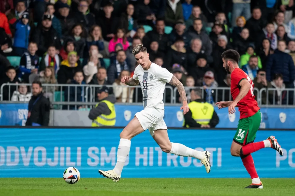 slovenia vs denmark predictions