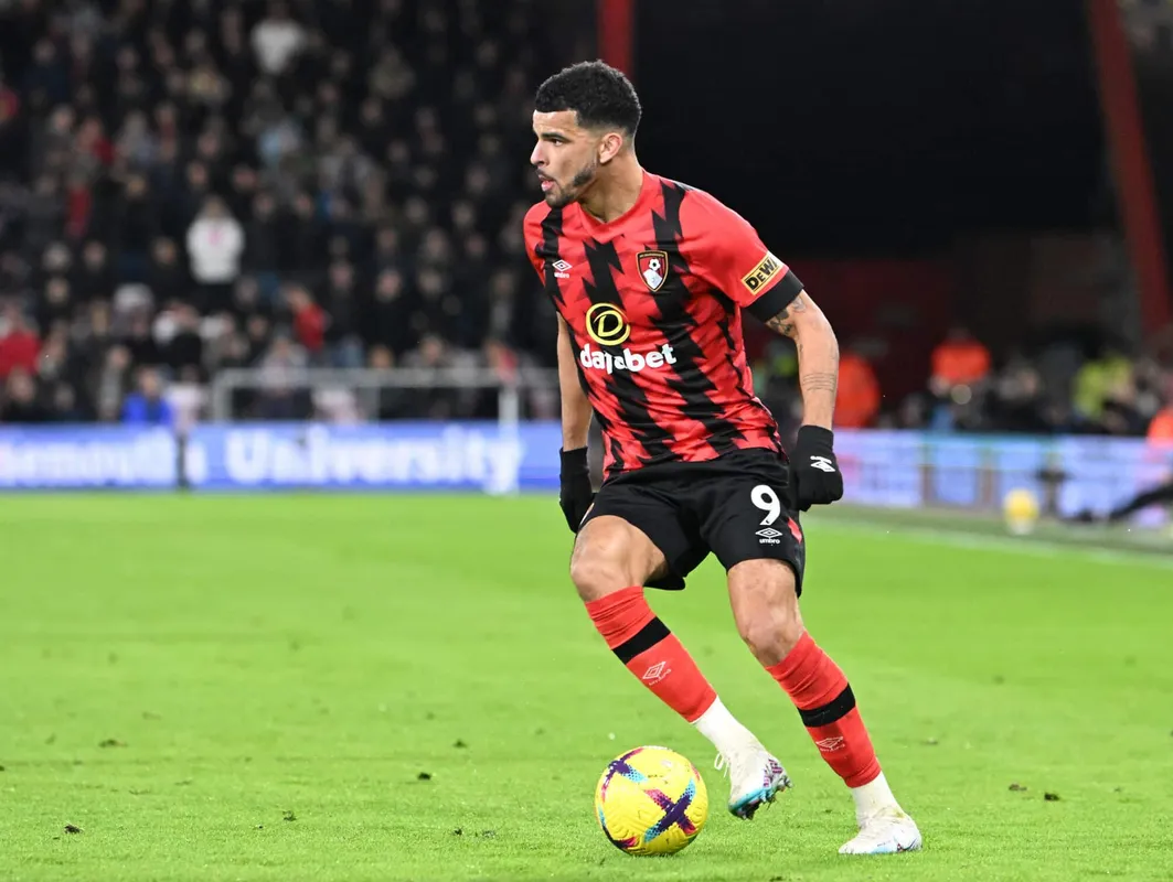 Dominic Solanke of Bournemouth 