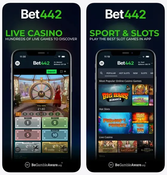 bet442-live-casino-features