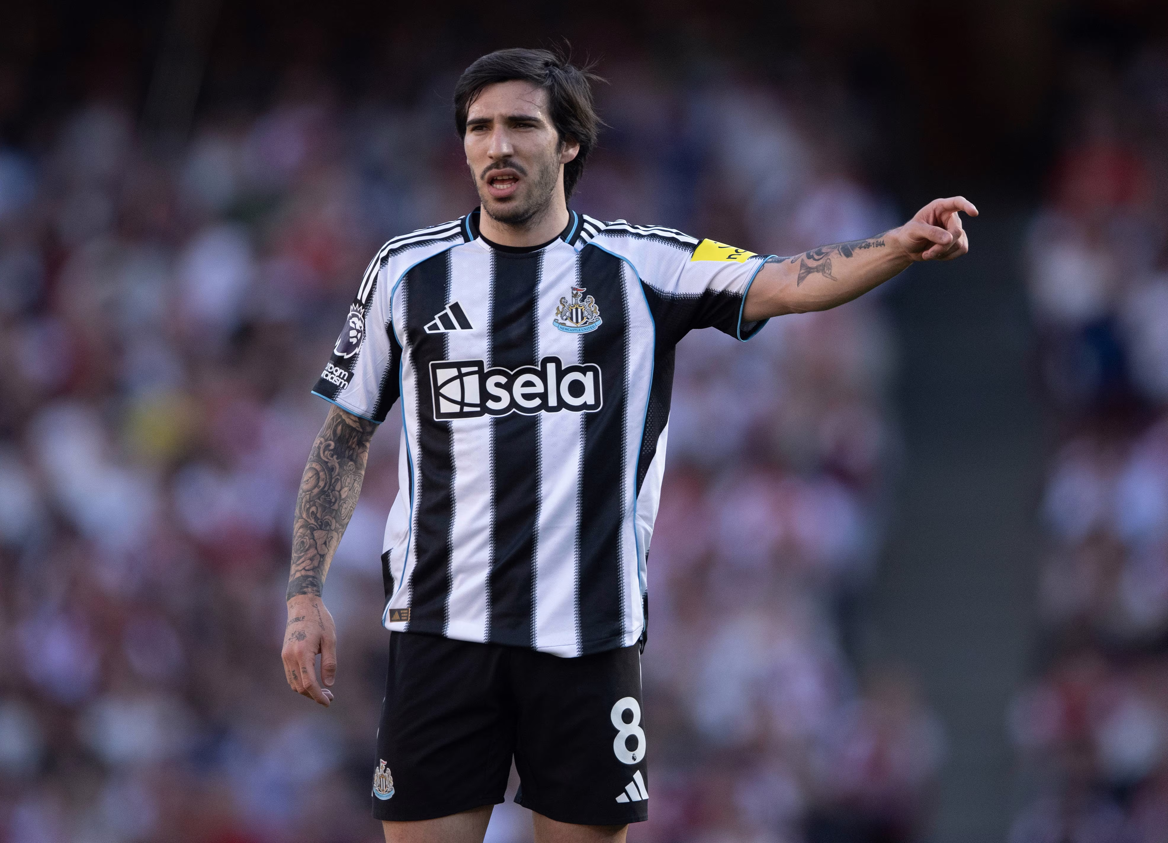 Sandro Tonali of Newcastle United