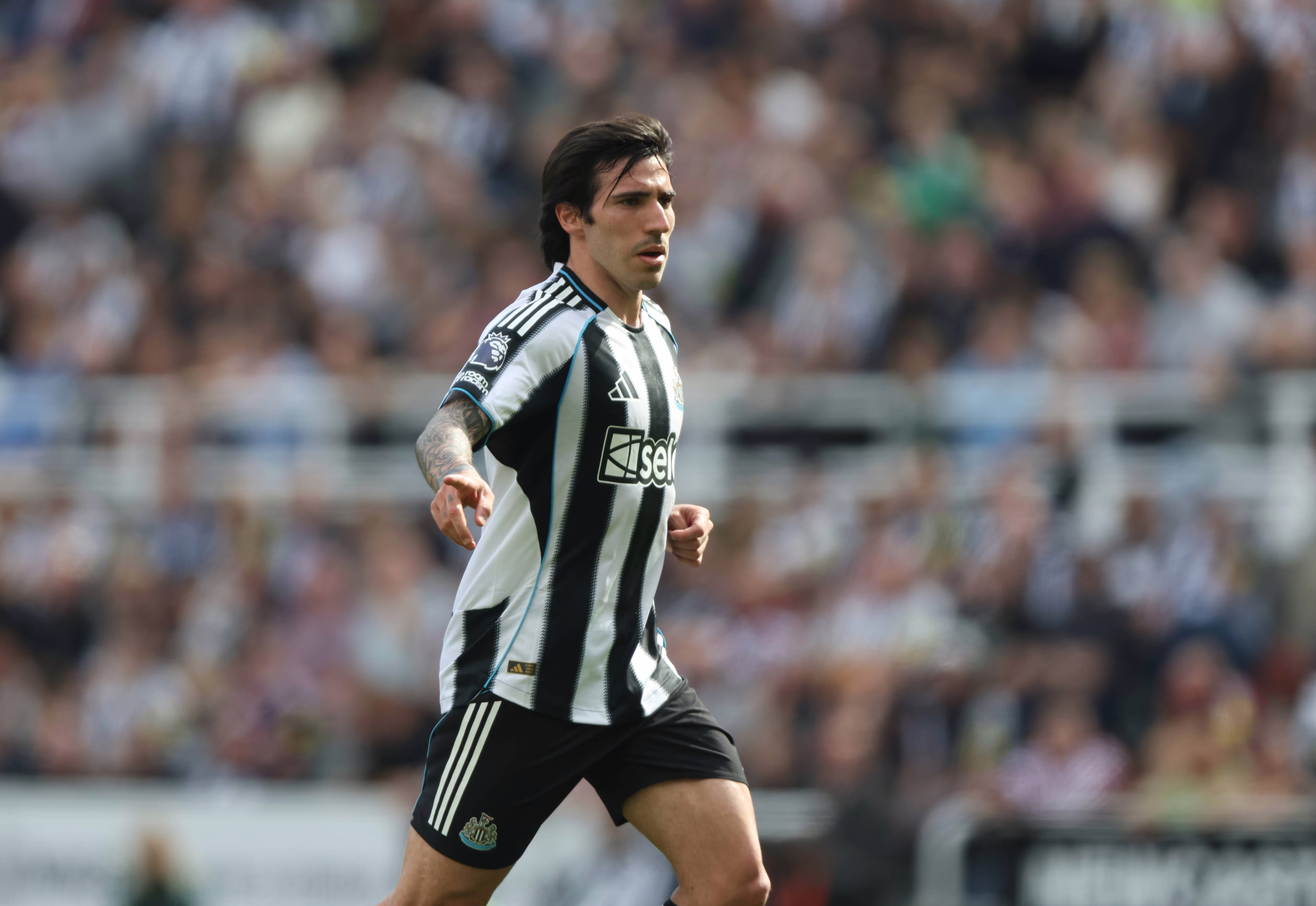 Sandro Tonali of Newcastle United