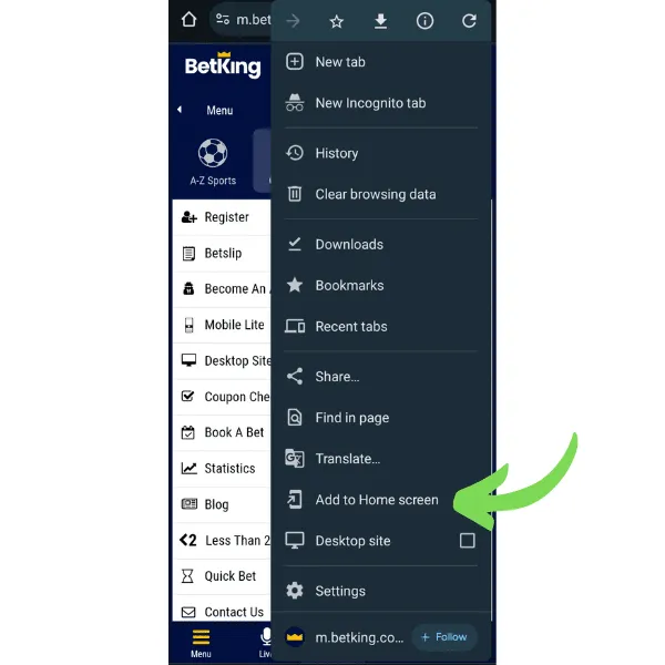 BetKing old mobile