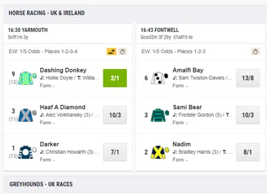 ladbrokes review uk racing bets and odds