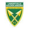 Golden Arrows