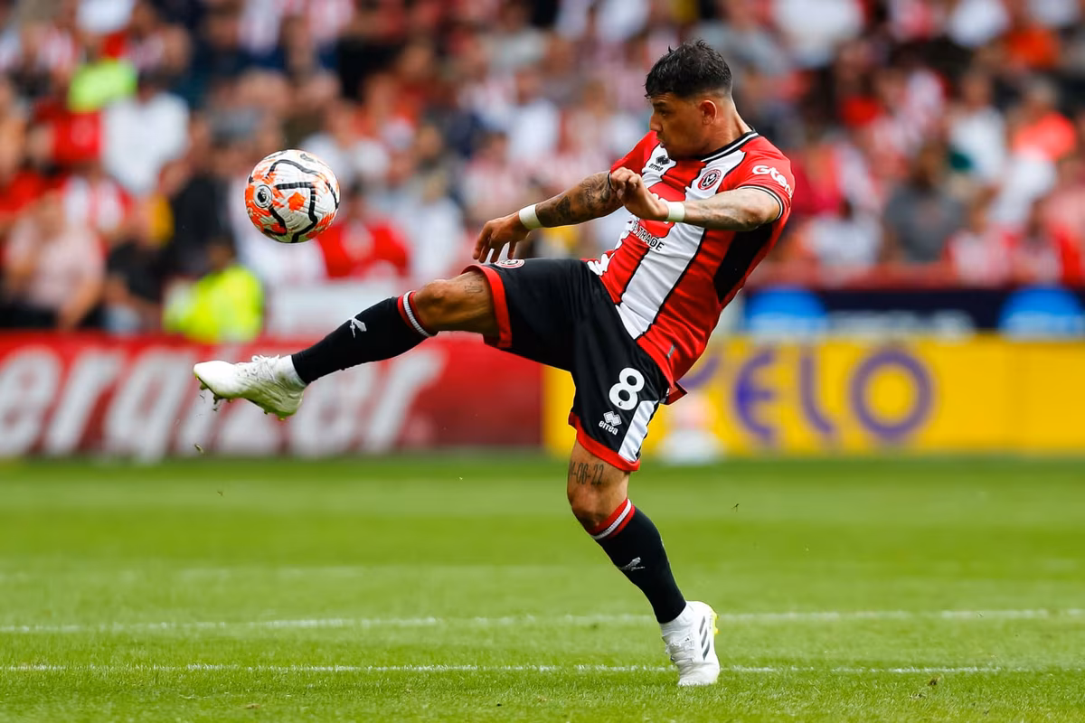 Gustavo Hamer of Sheffield United