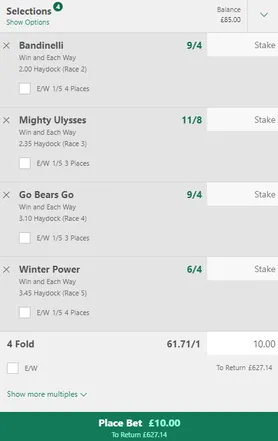 bet365 horse racing accumulator betslip