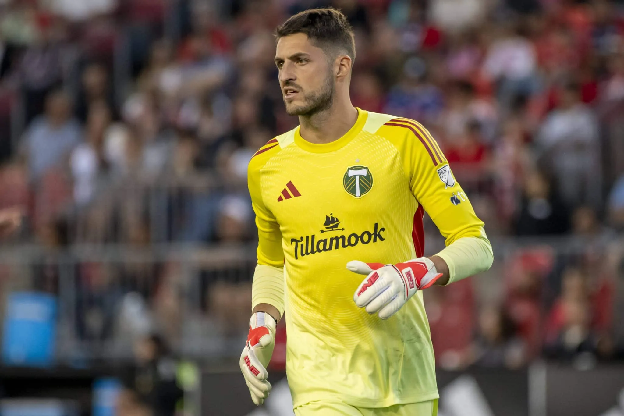 Portland Timbers vs New England Prediction 2