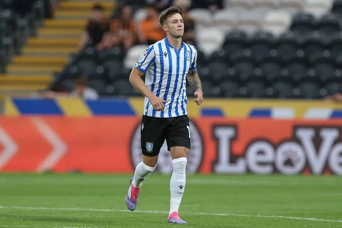 Hull vs Sheff Wed predictions