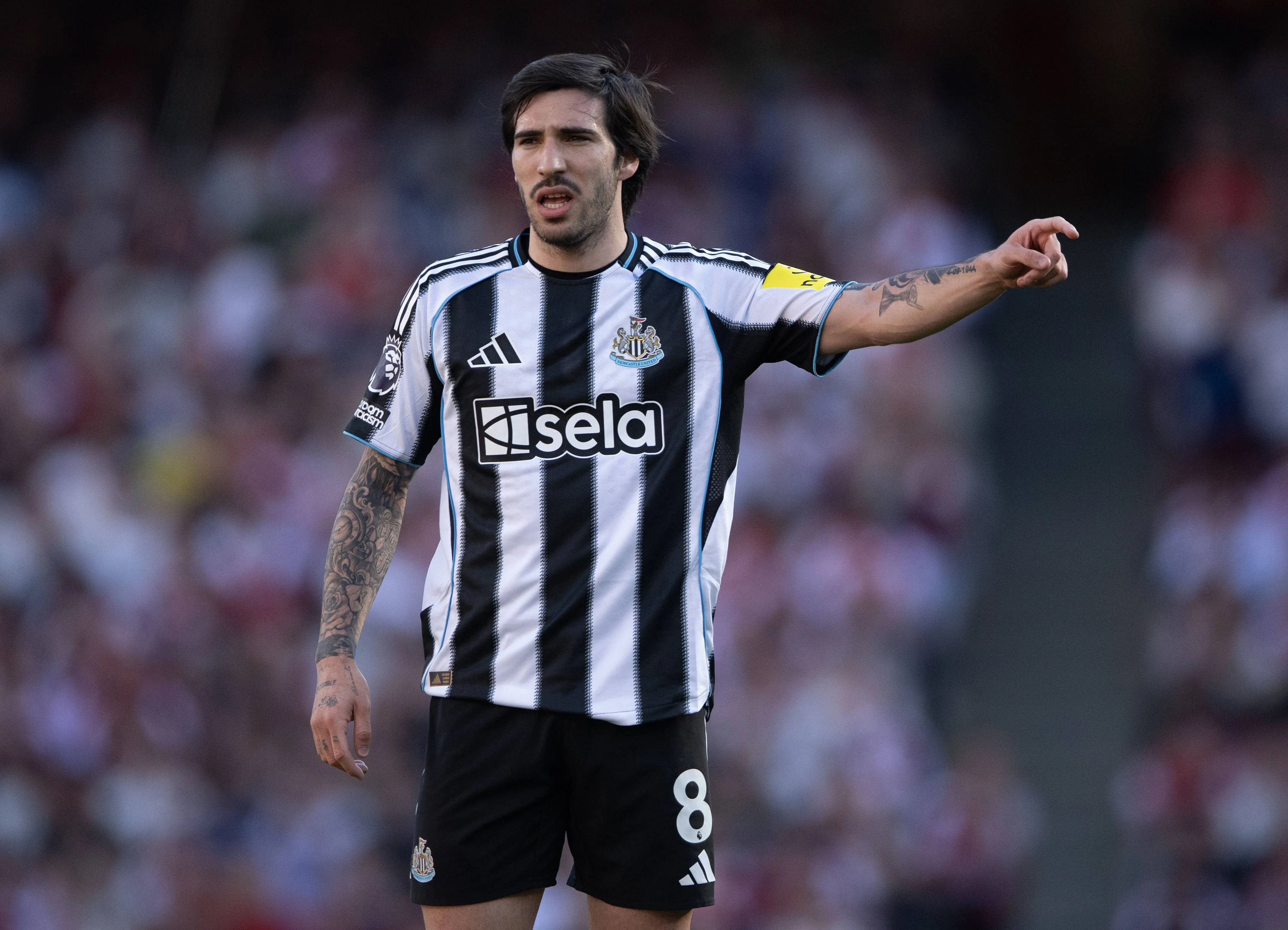 Sandro Tonali of Newcastle United