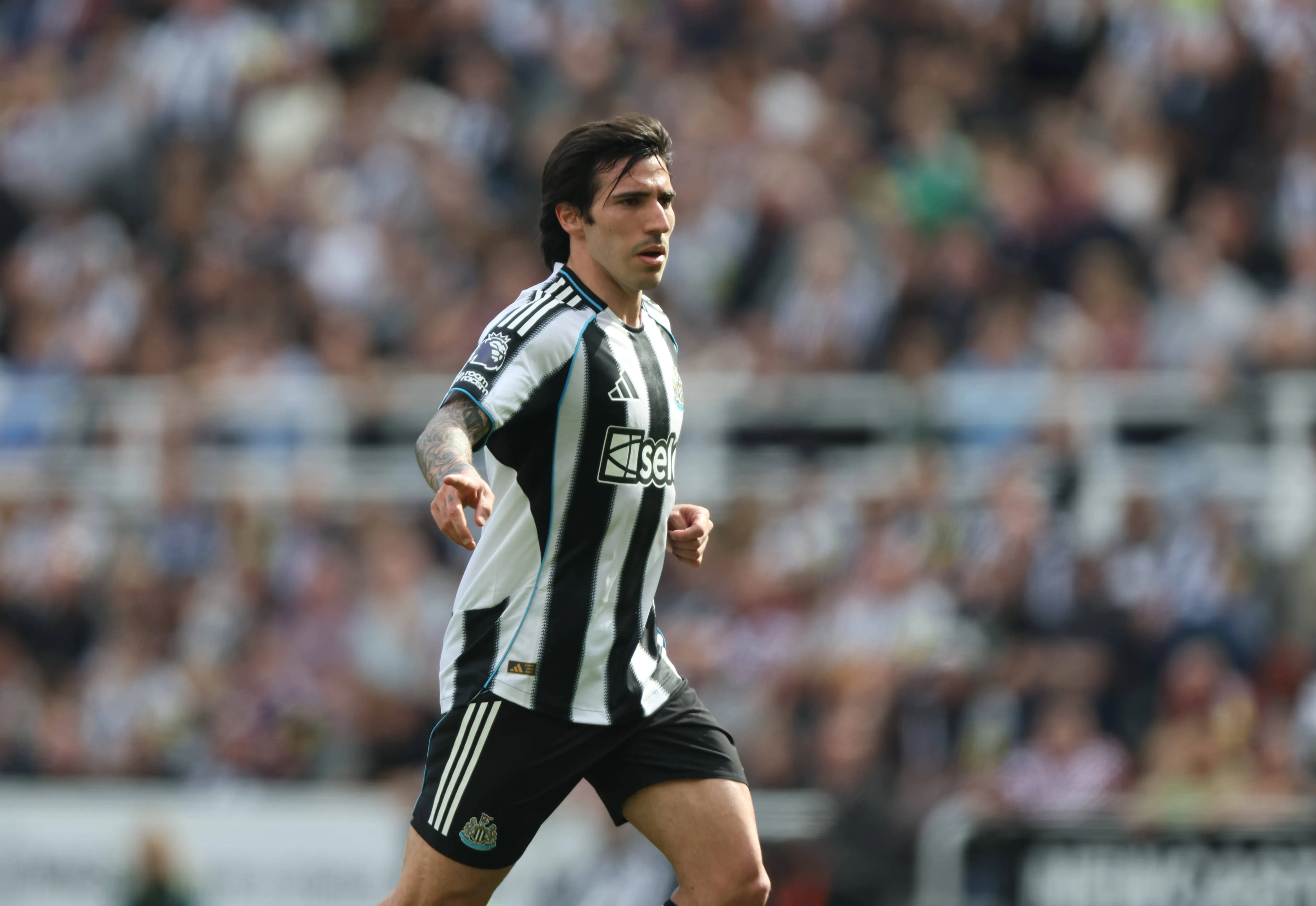 Sandro Tonali of Newcastle United