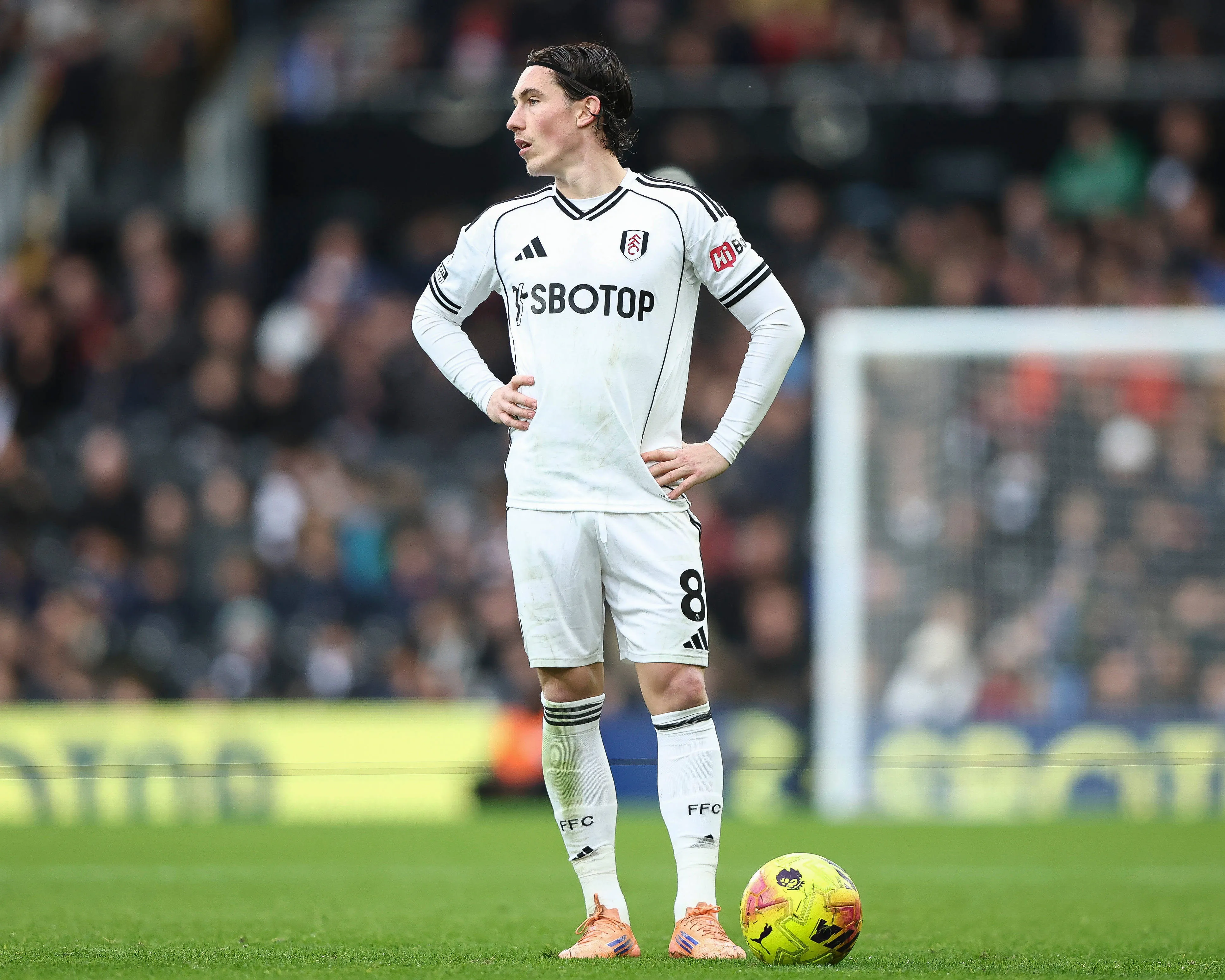 Harry Wilson of Fulham