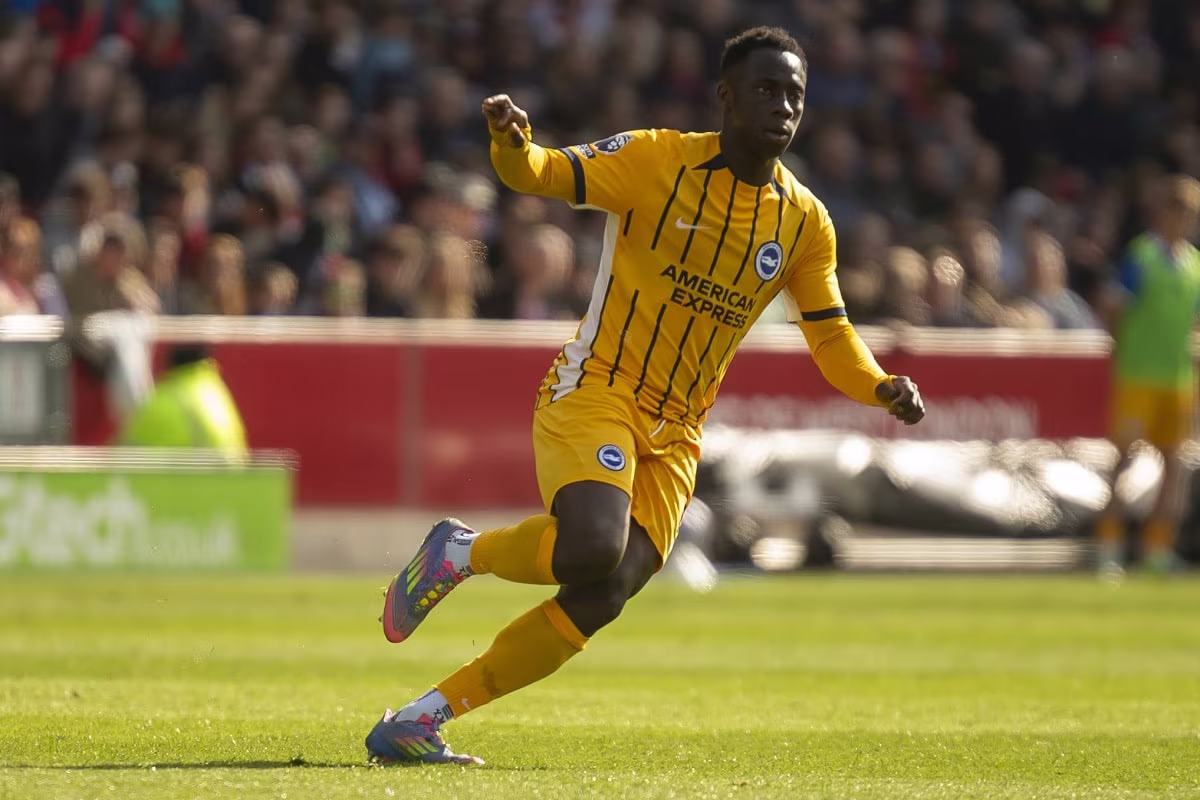 Wolves vs Brighton prediction