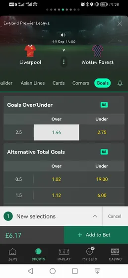 Picture adding a bet to a Bet365 bet slip.