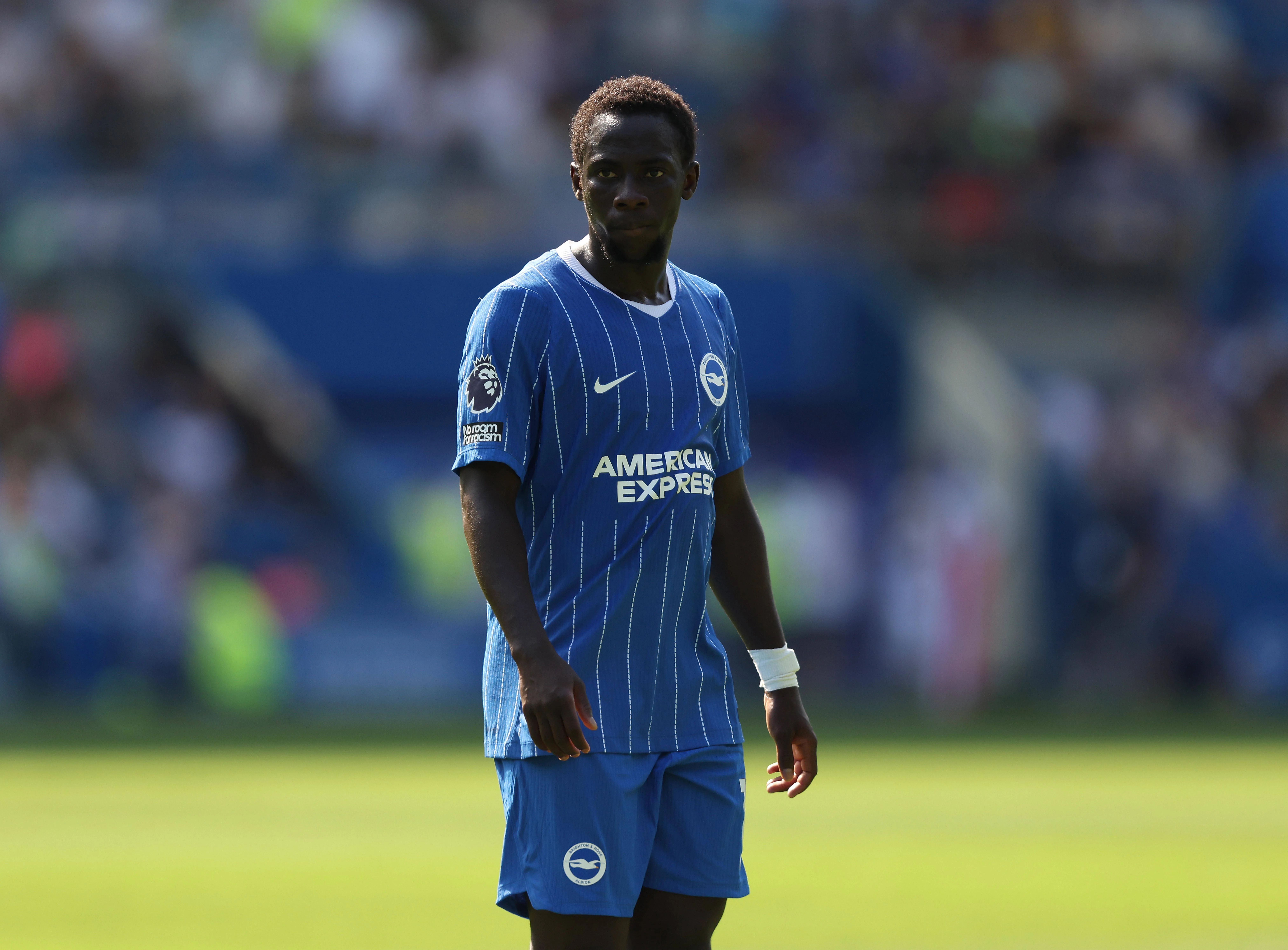 Yankuba Minteh of Brighton & Hove Albion