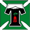 Deportes Temuco