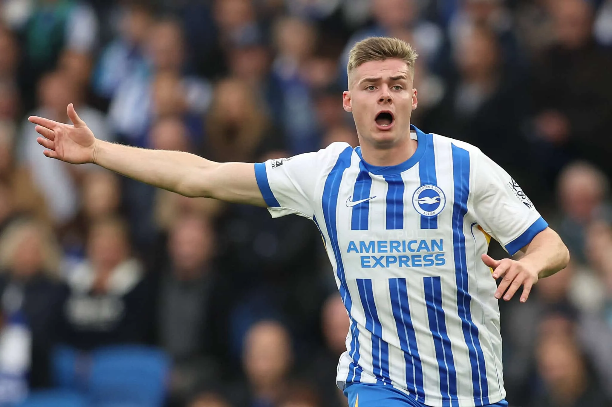 Ferguson transfer: Seagulls striker switching to Nottingham Forest? Whisper+ verdict