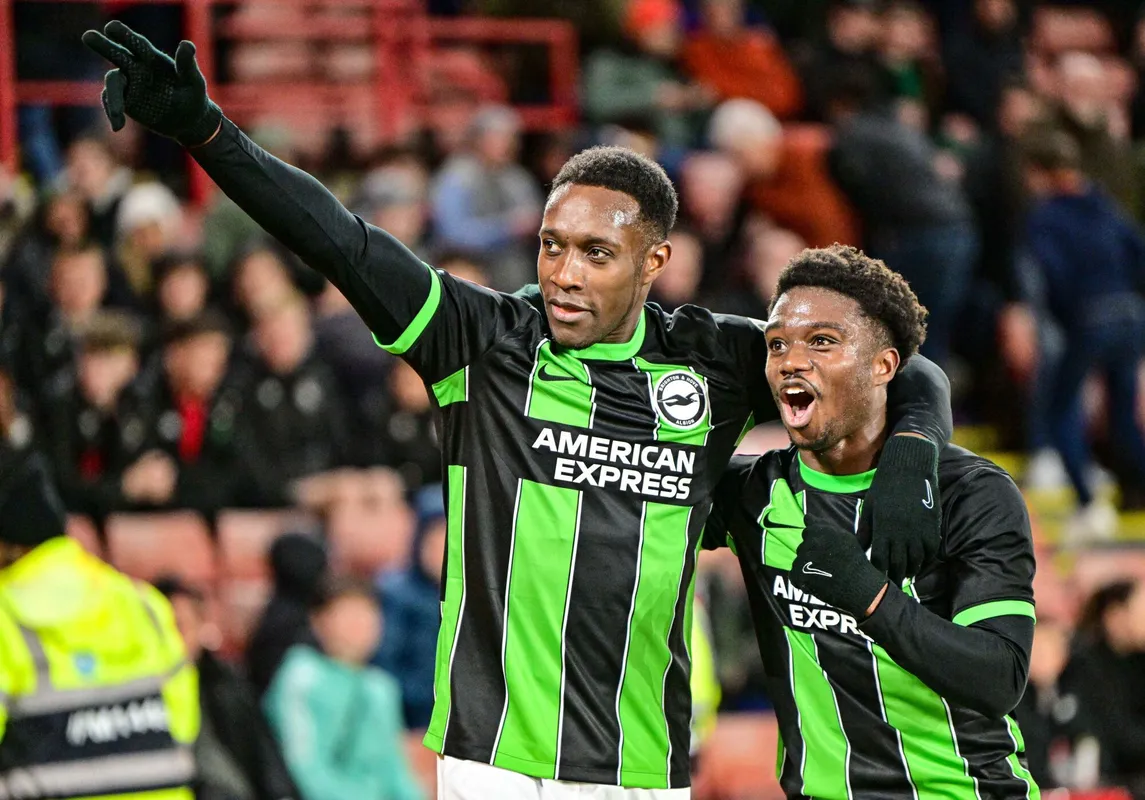 sheff utd vs brighton prediction