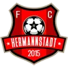 AFC Hermannstadt