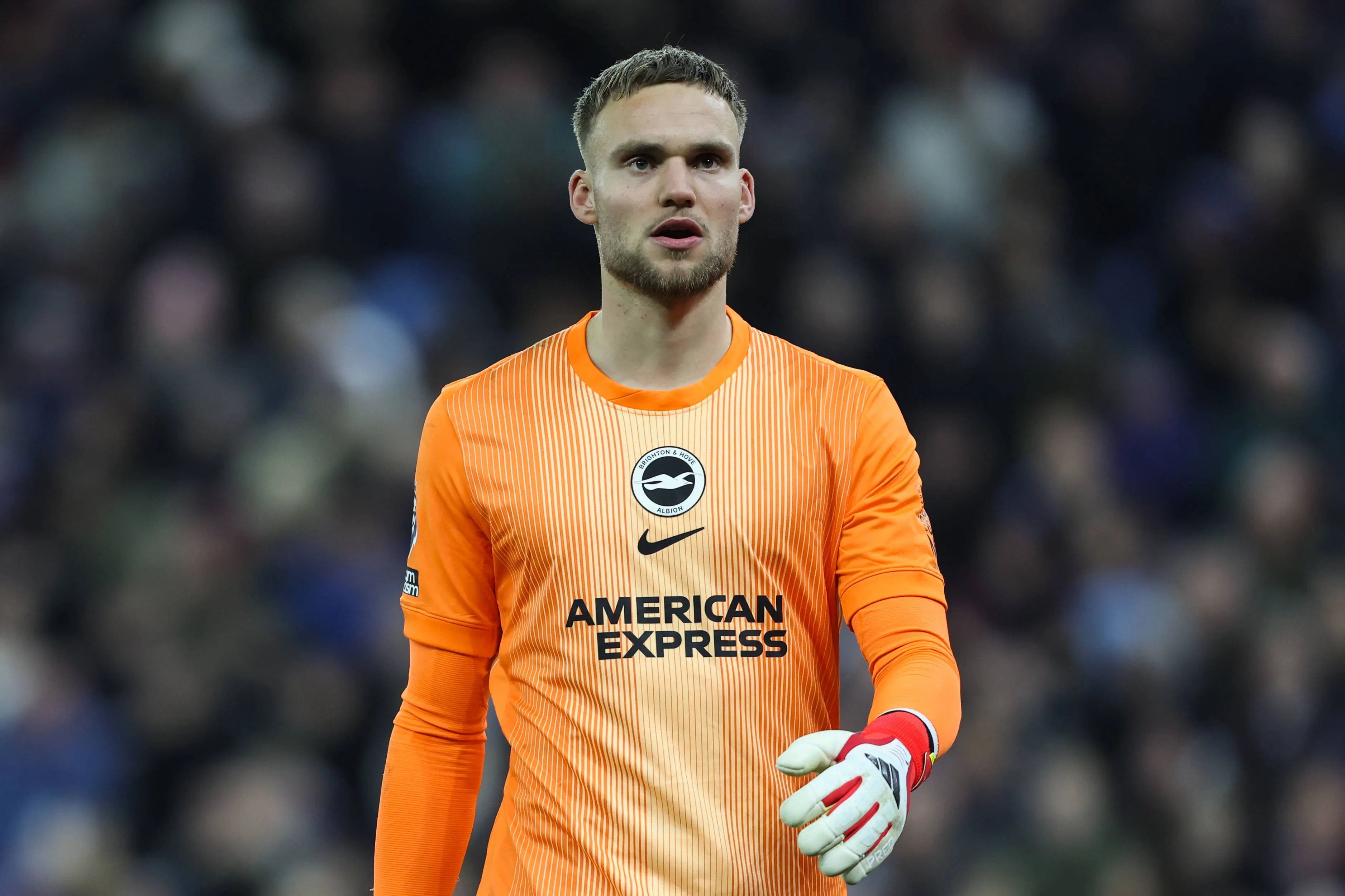 Bart Verbruggen of Brighton and Hove Albion