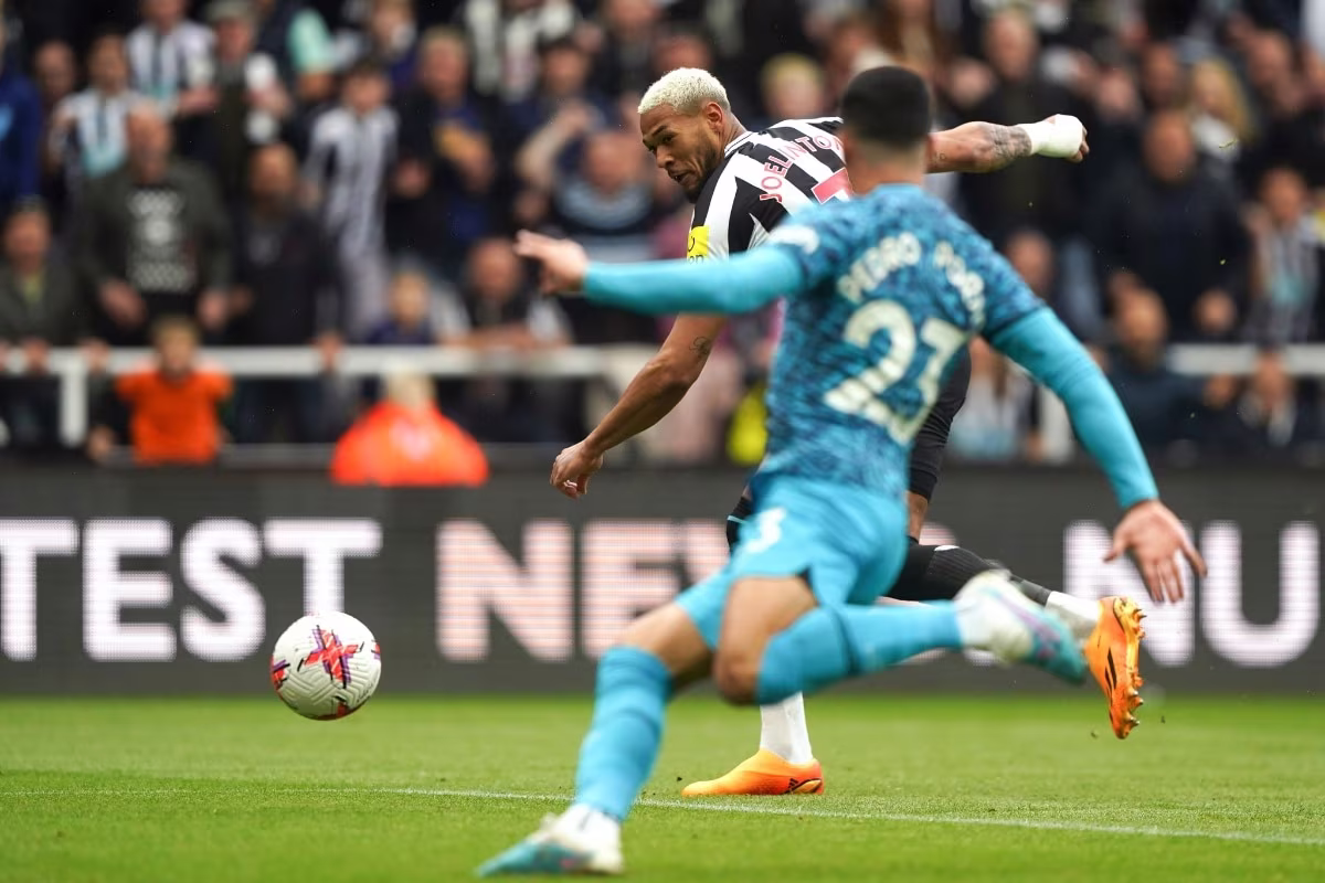 Tottenham vs Newcastle last five H2Hs