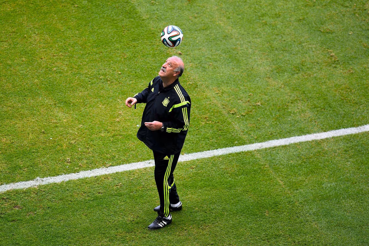 Spain manager Vincente del Bosque