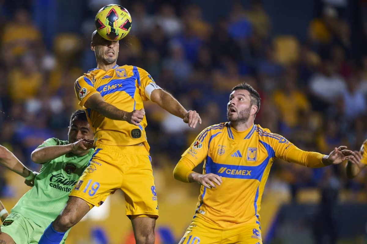 Tigres UANL vs Houston Dynamo prediction, odds & betting tips &ndash; 30/07/2025