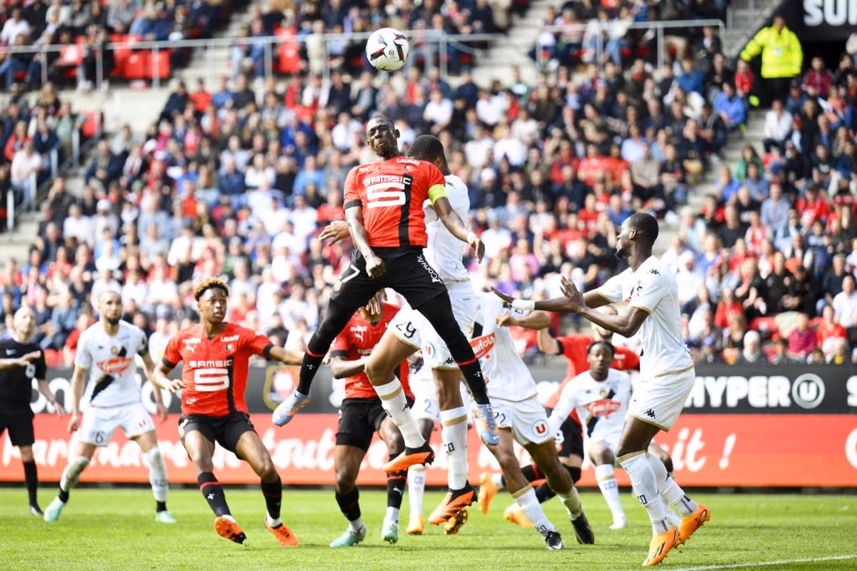 Angers vs Rennes prediction, odds & betting tips &ndash; 31/08/2025