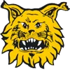 FC Ilves