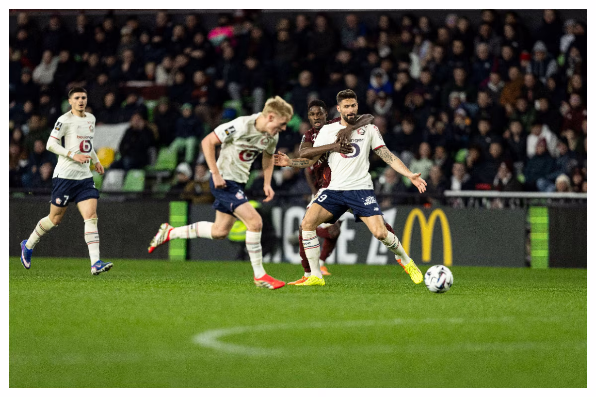 Lille vs Brest, prediction, odds & betting tips 14/02/2026