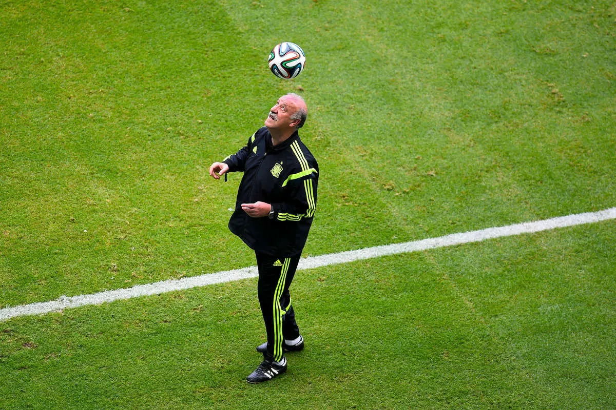 Spain manager Vincente del Bosque