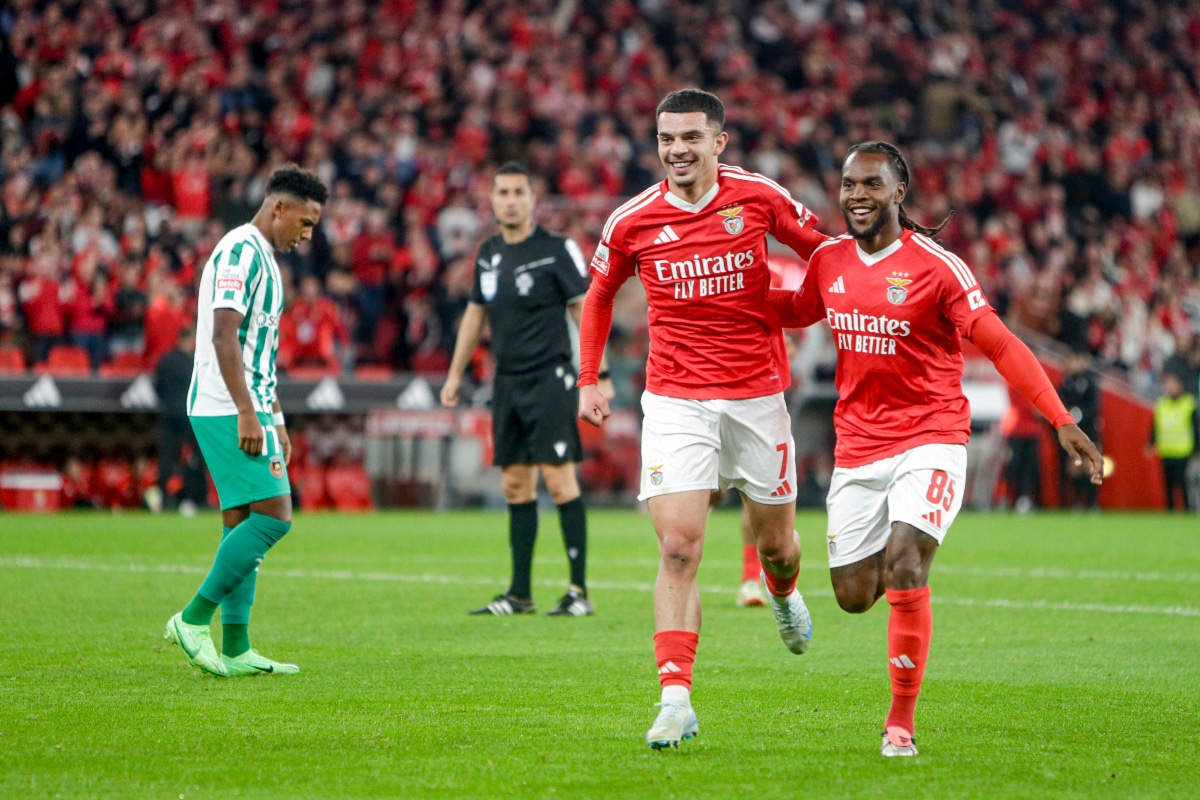 Farense vs Benfica prediction, odds & betting tips 02/11/2024